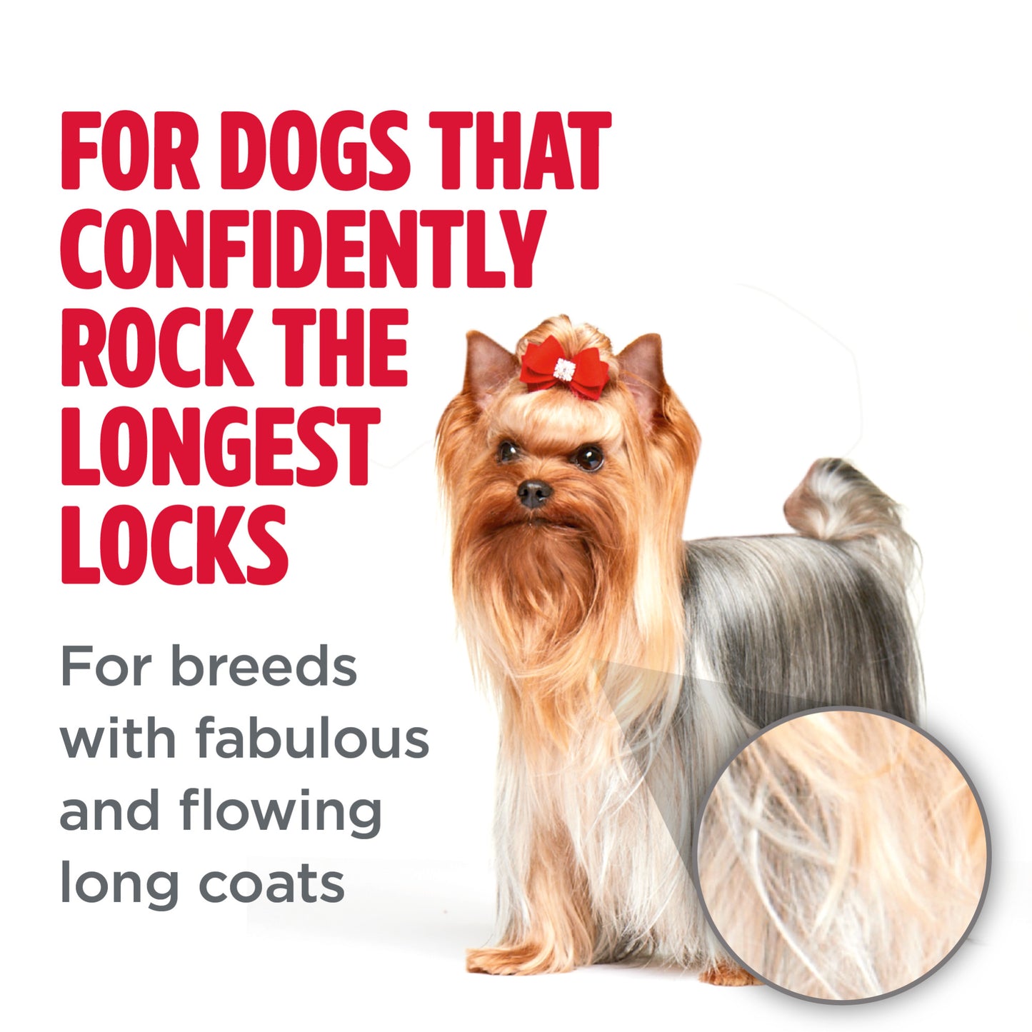 TropiClean PerfectFur Shampoo for Long Haired Coat