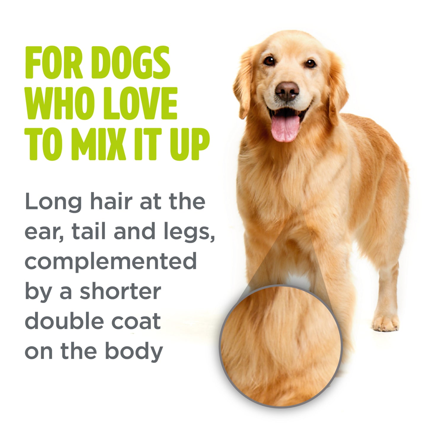 TropiClean PerfectFur Combination Coat Shampoo