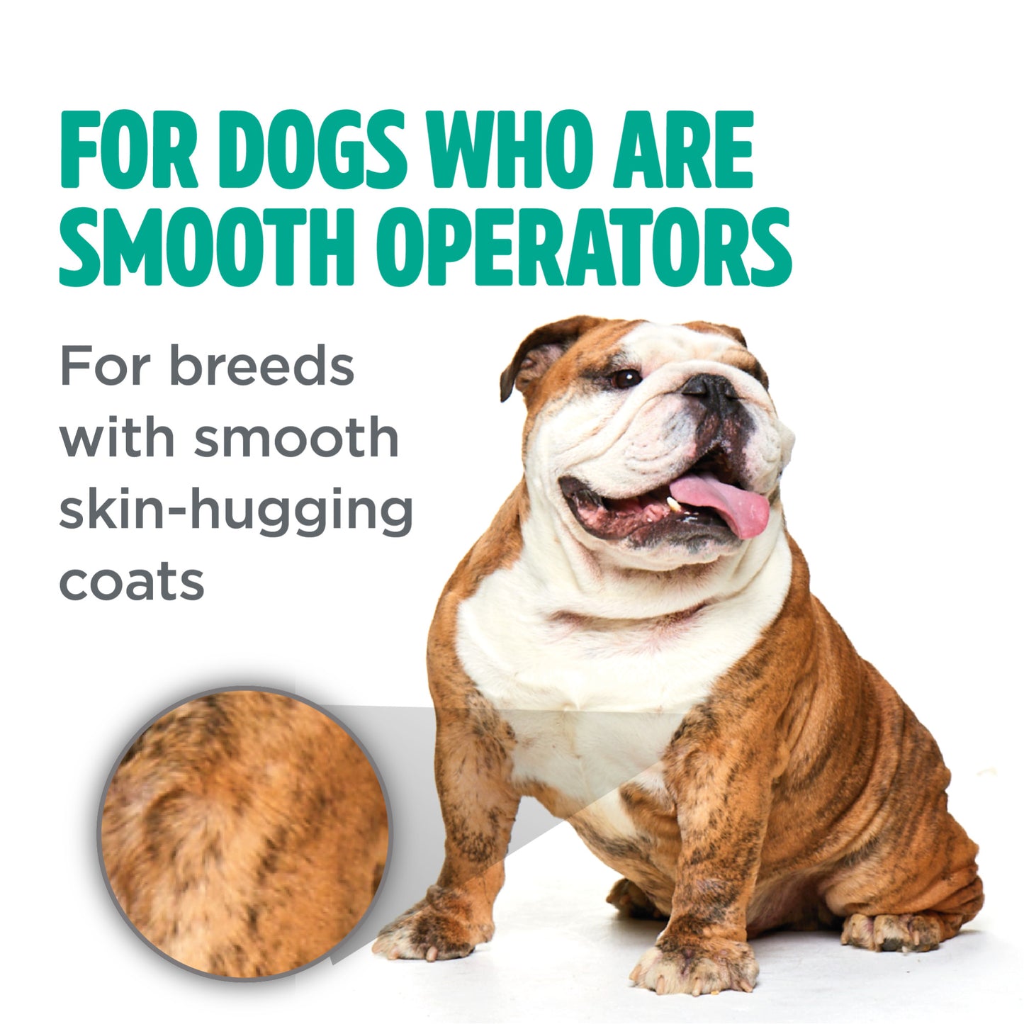 TropiClean PerfectFur Shampoo Smooth Coat