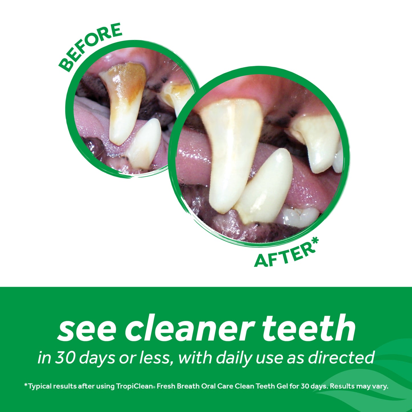 TropiClean Fresh Breath Oral Care Clean Teeth Gel