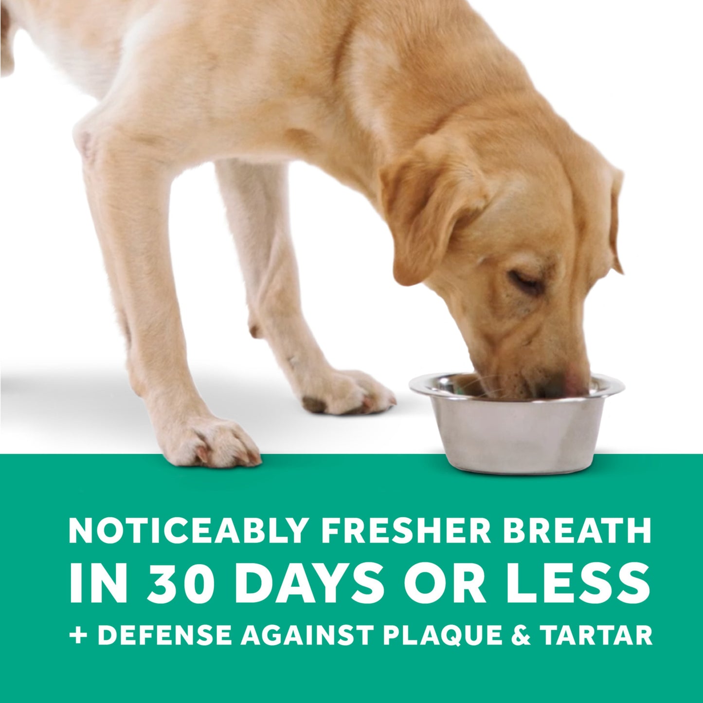 TropiClean Fresh Breath Dental Health Solution Original
