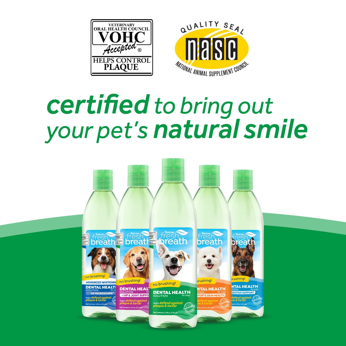 TropiClean Fresh Breath Dental Health Solution Original