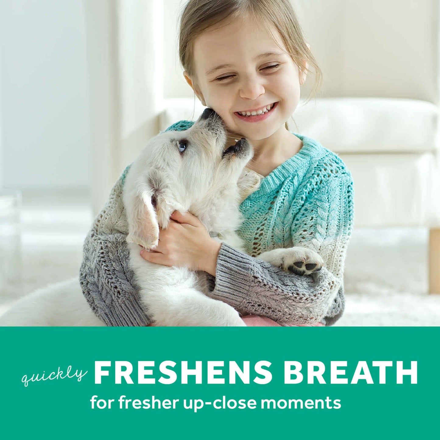 Tropiclean Fresh Breath Mint Foam