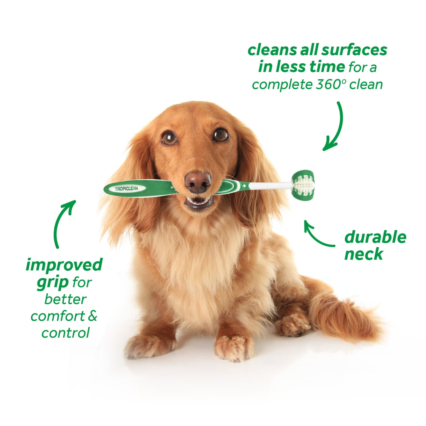 TropiClean Fresh Breath Oral Care Kit for Dogs