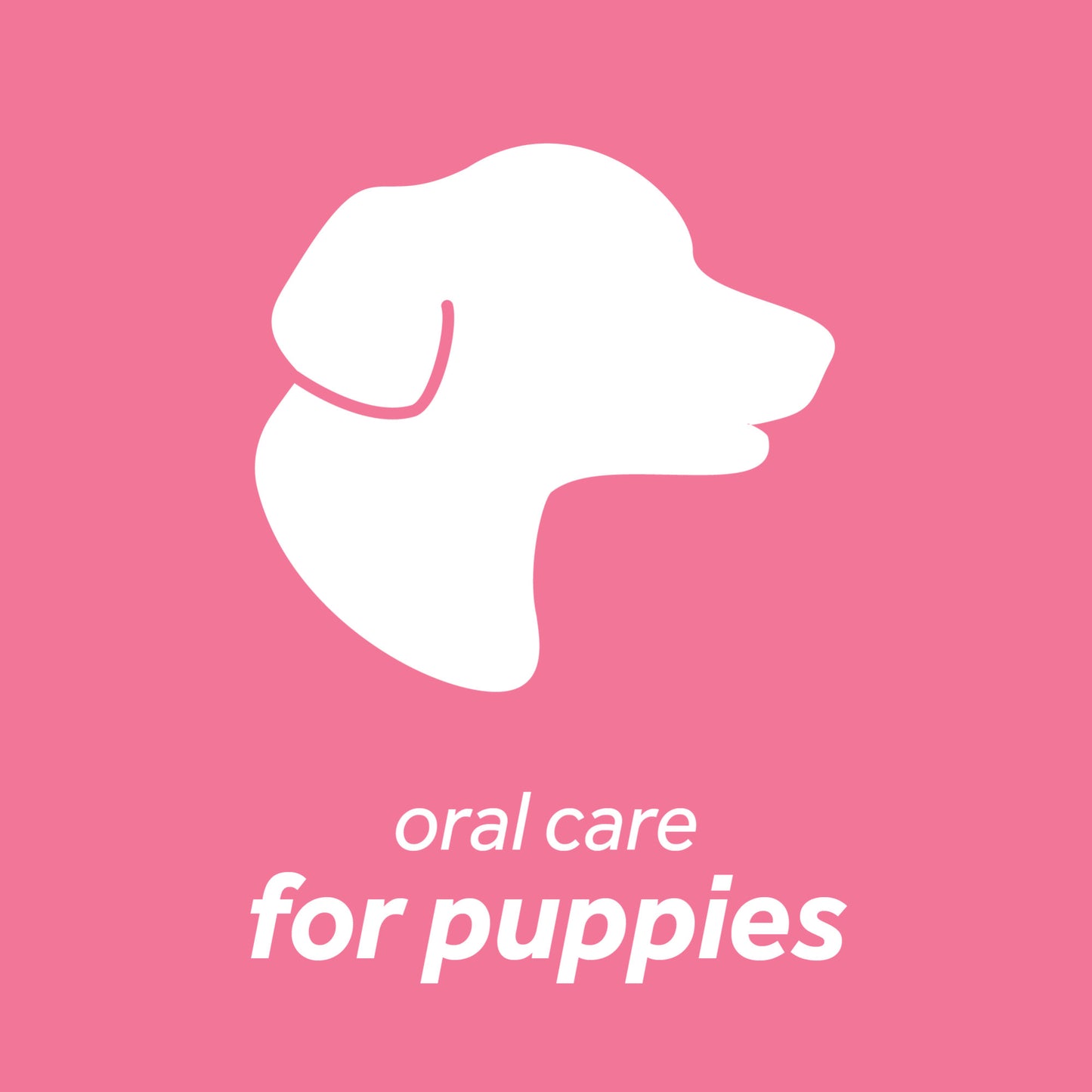 TropiClean Fresh Breath Oral Care Clean Teeth Gel for Puppies