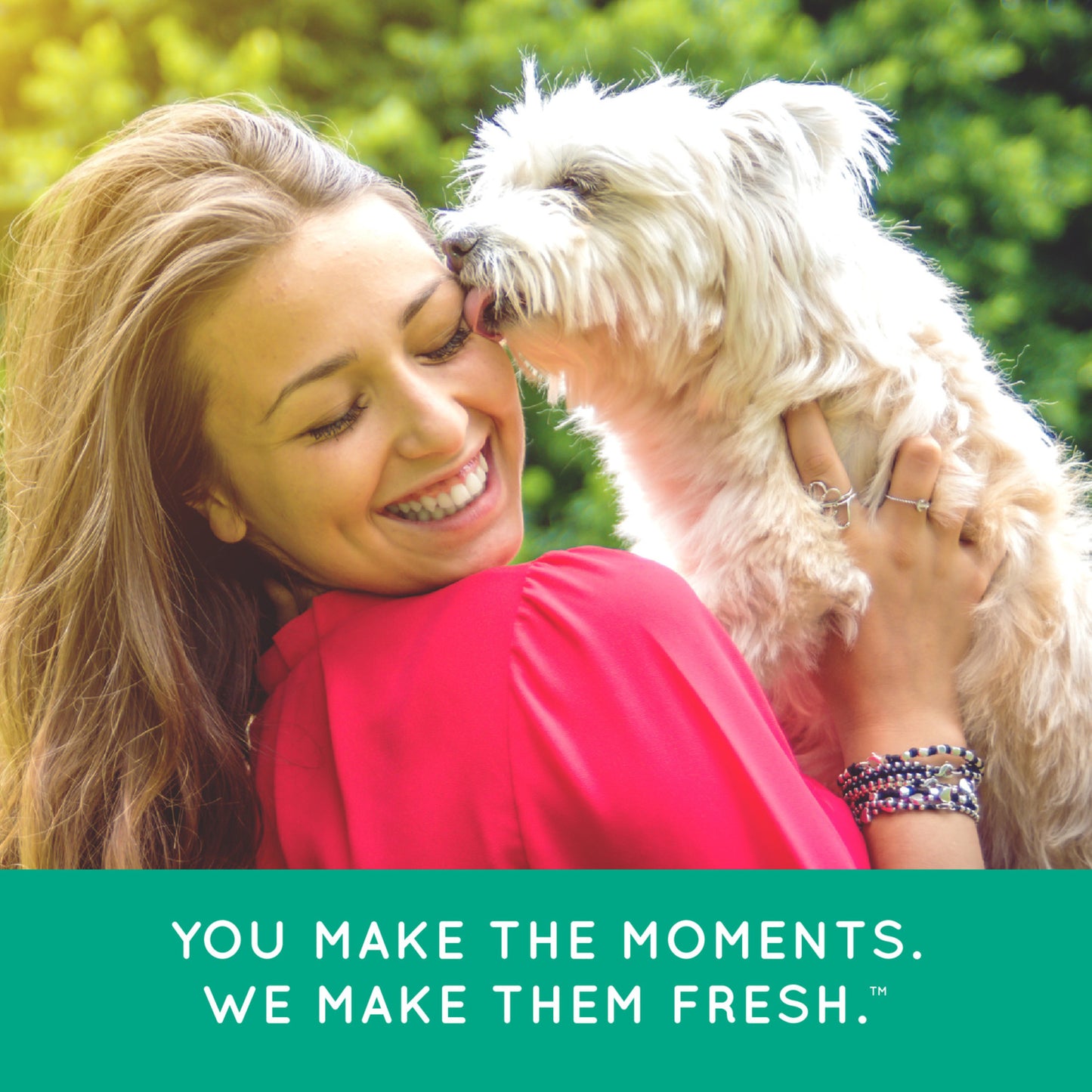 TropiClean Fresh Breath Dental Wipes for Dogs 50pk