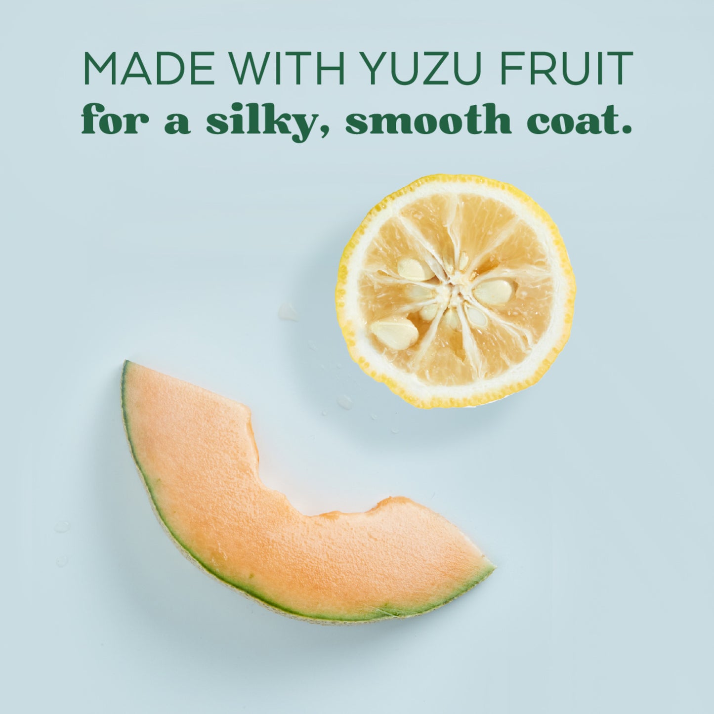 TropiClean Essentials Yuzu Fruit Shampoo