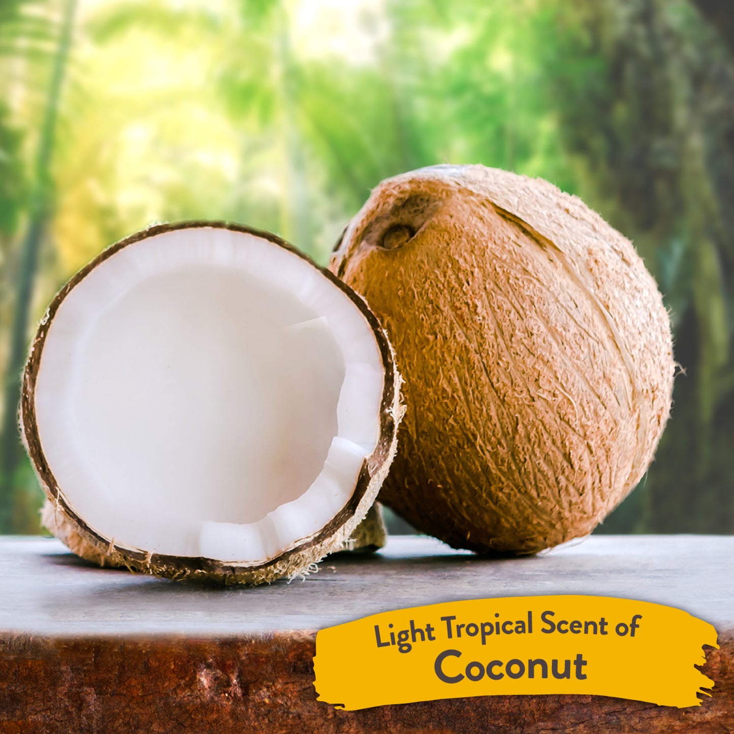 TropiClean Shampoo Gentle Coconut Hypoallergenic