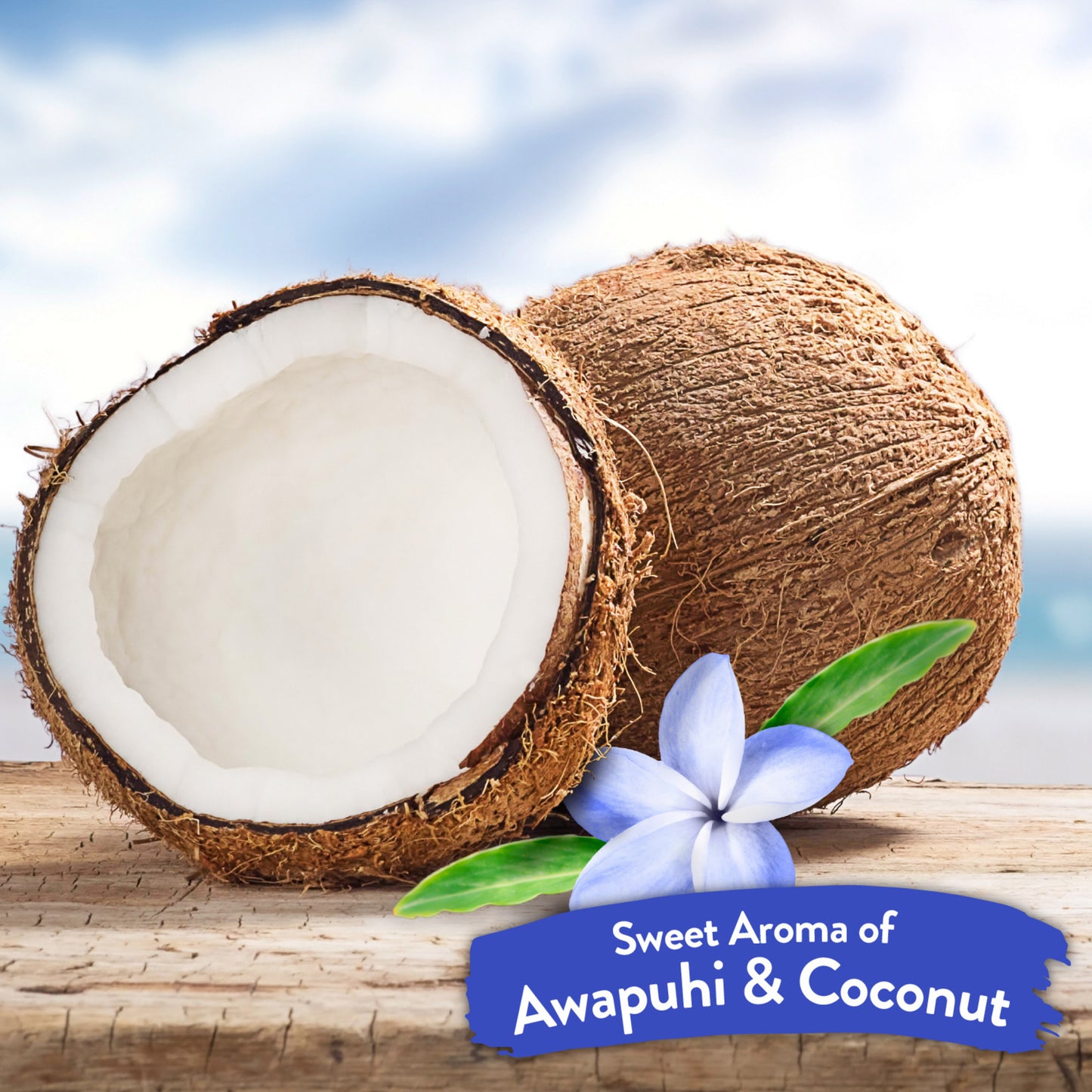 TropiClean Shampoo Awapuhi & Coconut Whitening