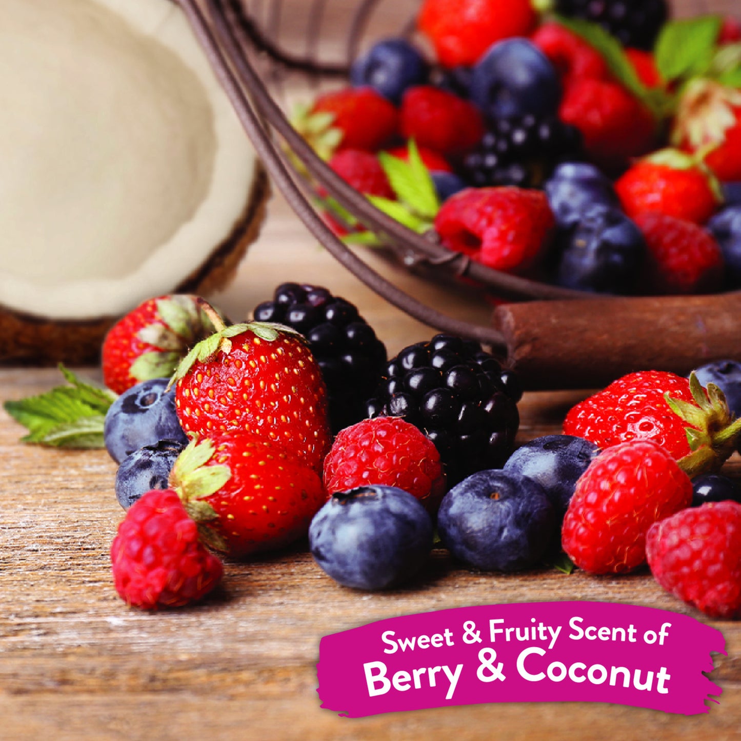 TropiClean Shampoo Berry & Coconut Deep Cleansing