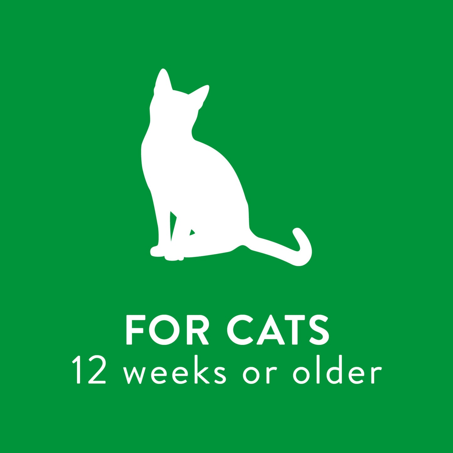 TropiClean Waterless Dander Reducing Cat Shampoo 220mL