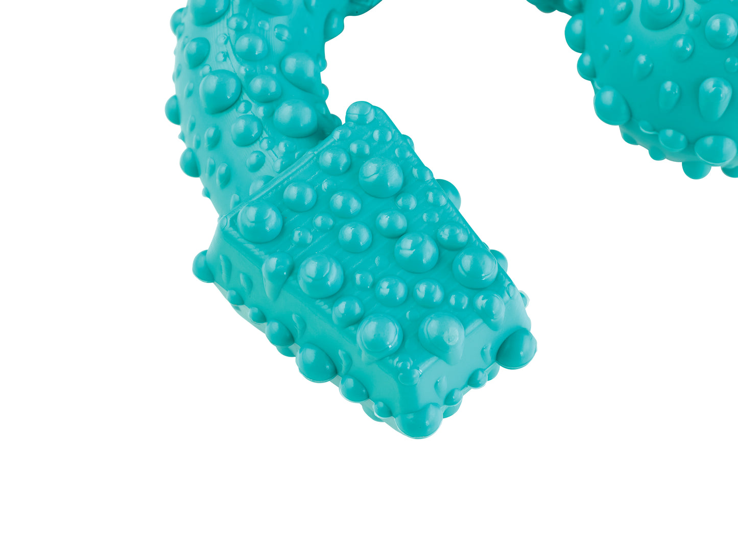 Tasty Bone Nylon Dental Trio Peppermint