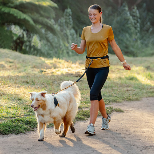 Rogz AirTech Sport Belt & Lead Burnt Ochre