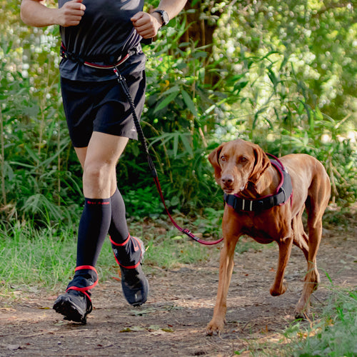 Rogz AirTech Sport Belt & Lead Rock Red