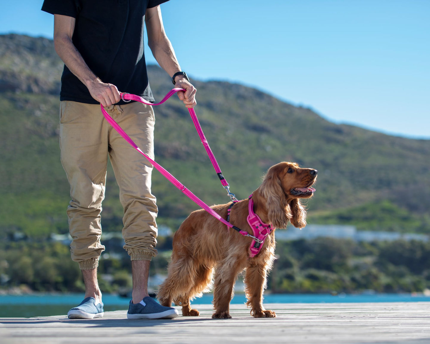 Rogz Specialty Multi-Lead Pink