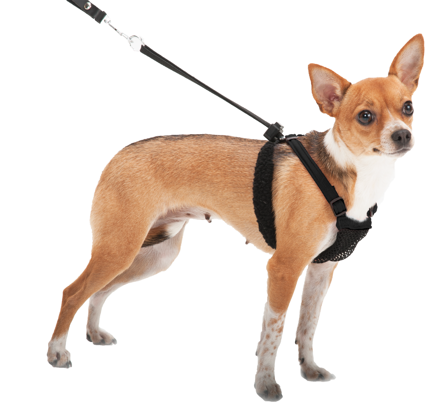 Sporn Mesh Harness Black