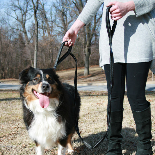 Sporn Training Leash Med/Lge