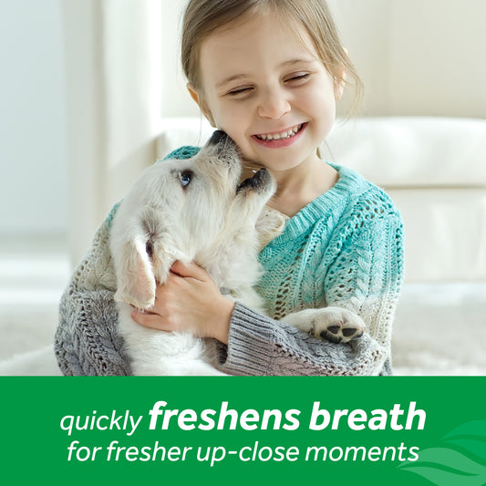 Tropiclean Fresh Breath Mint Foam