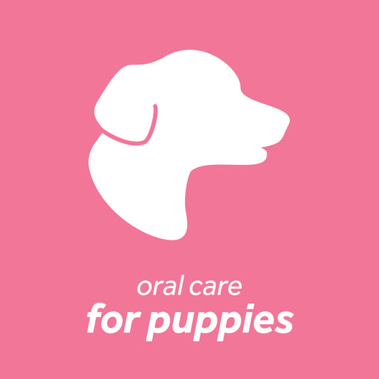 TropiClean Fresh Breath Oral Care Clean Teeth Gel for Puppies