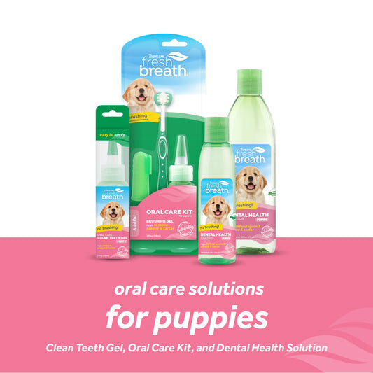 TropiClean Fresh Breath Oral Care Clean Teeth Gel for Puppies