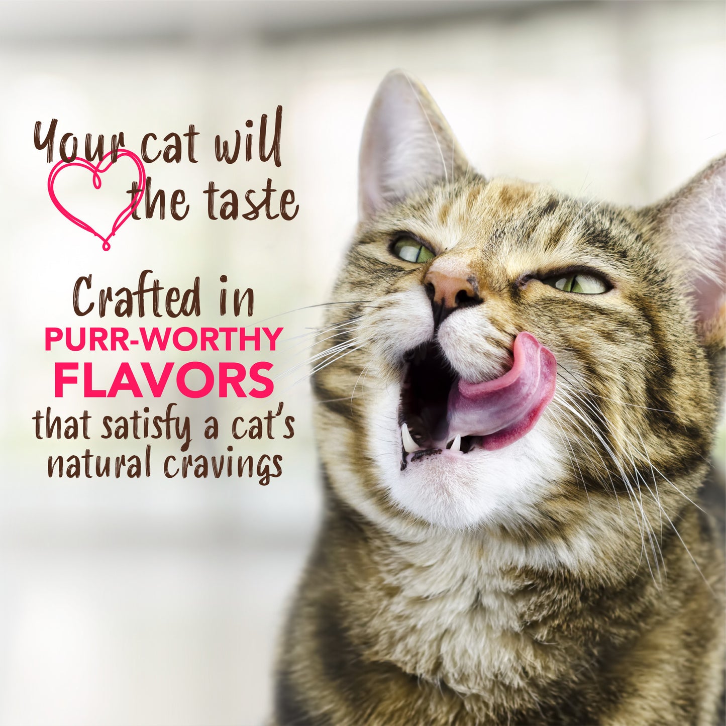 Tropiclean Enticers Teeth Cleaning Cat Gel Honey Marinated Chicken 59mL