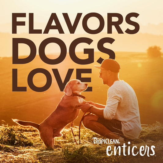 Tropiclean Enticers Teeth Cleaning Gel Smoked Beef Brisket