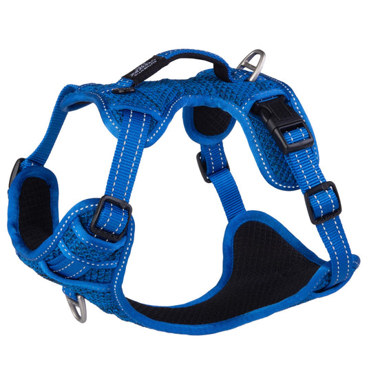 Rogz Specialty Explore Harness Blue