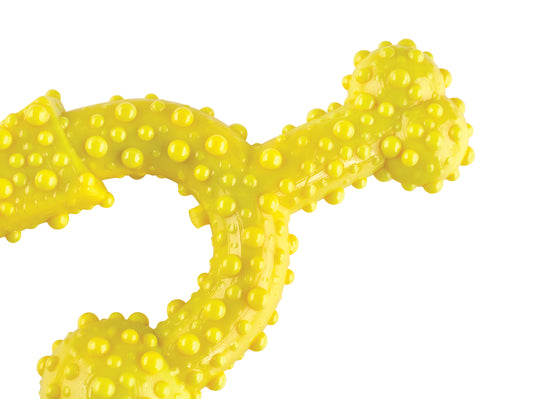 Tasty Bone Nylon Trio Chicken Toy