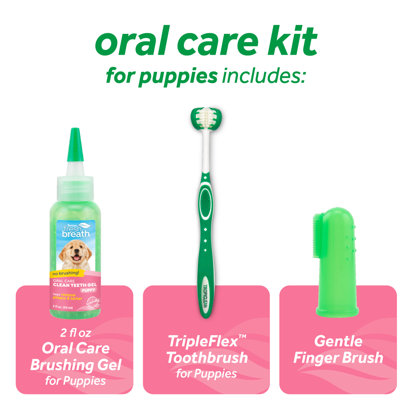 TropiClean Fresh Breath Oral Care Kit for Dogs