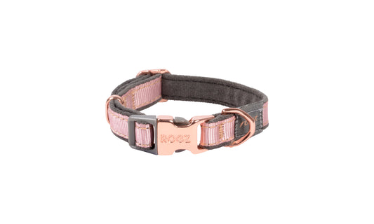 Rogz Urban Classic Collar Pink Blush