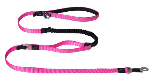Rogz Control Lead Pink