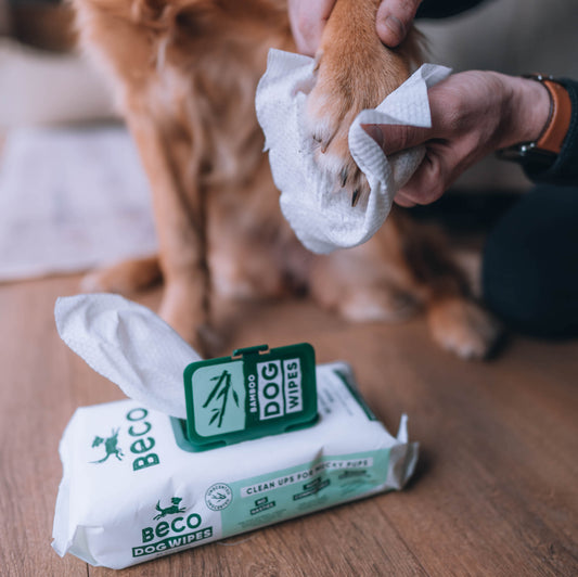 Beco Bamboo Wipes 80pk