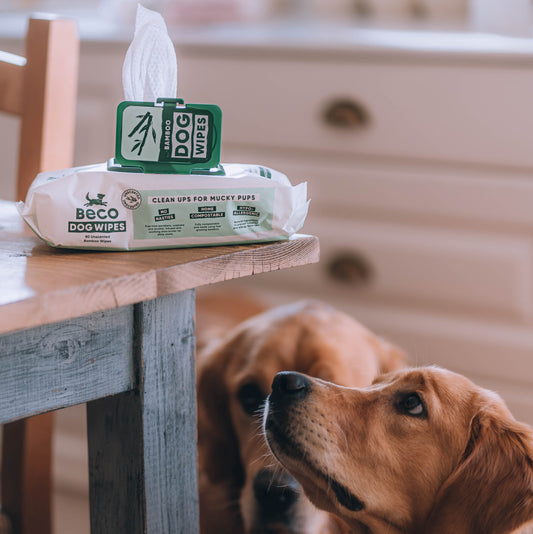 Beco Bamboo Wipes 80pk